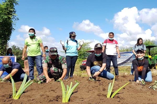 Lahan kosong di Kota Bitung, Sulawesi Utara ditanama tanaman pangan dan hortikultura antisipasi wabah covid-19 berkepanjangan.
