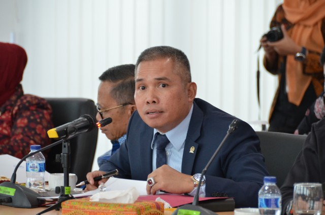 Anggota Komisi XI DPR RI Achmad Hafisz Tohir.