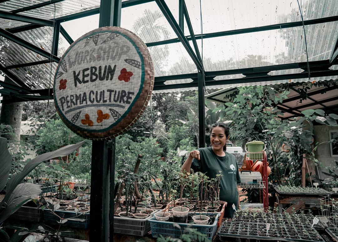 Kebun Kumara, lembaga pelatihan berkebun bagi kaum urban di Cilandak, Jakarta Selatan. 