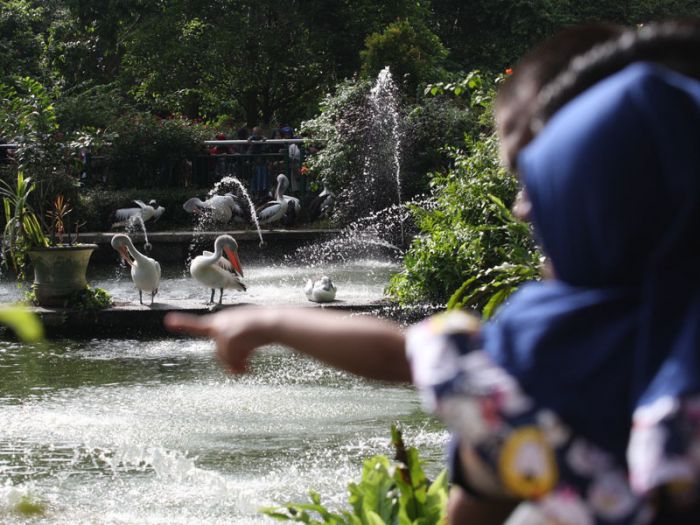 Warga memadati Taman Margasatwa Ragunan, Jakarta. 