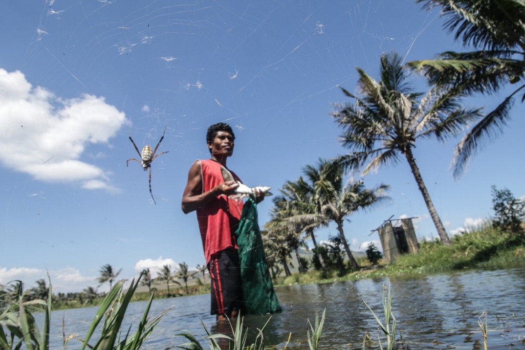 Petambak di Desa Nangadhero, Kota Mbay, Kabupaten Nagekeo, Nusa Tenggara Timur.