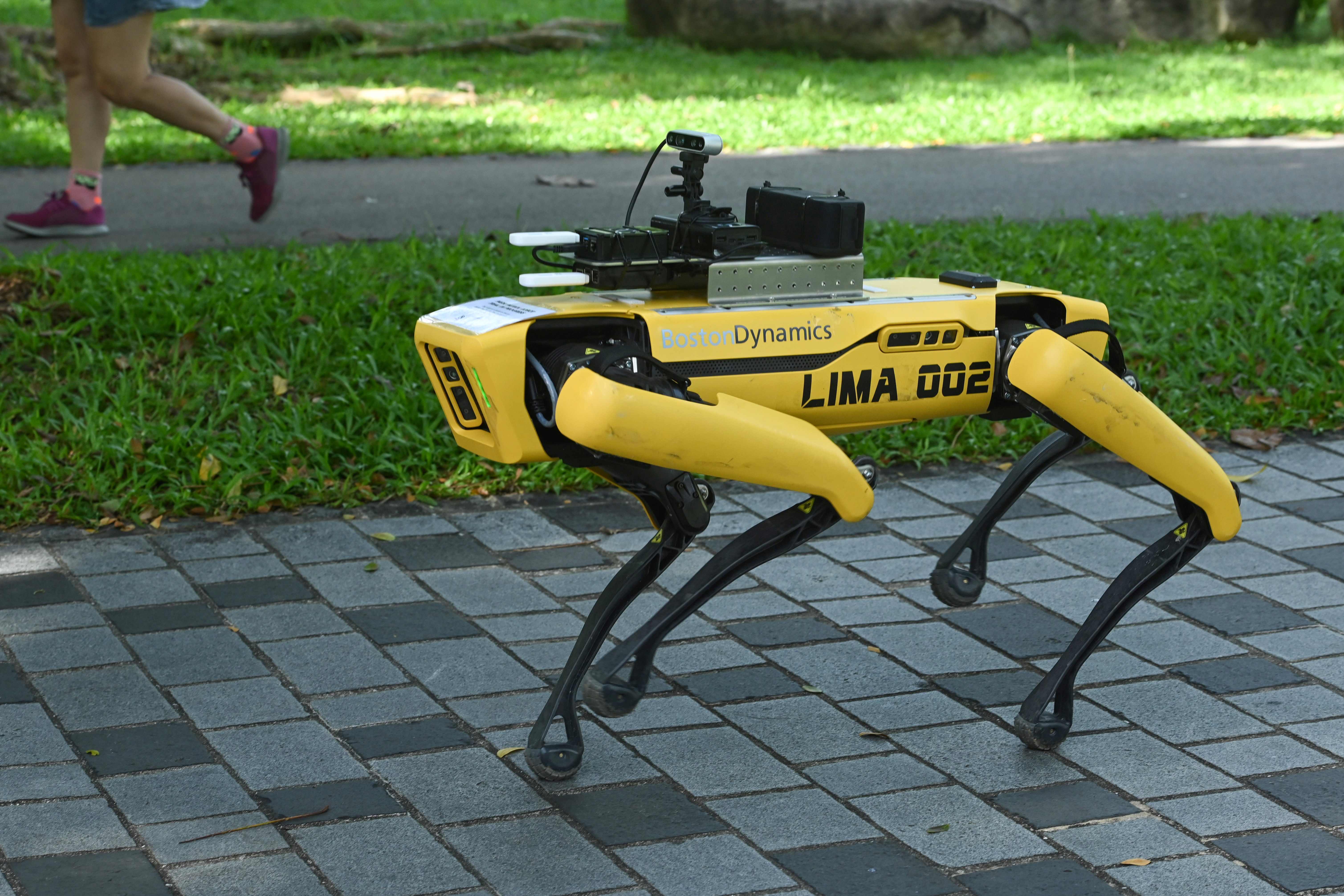 Spot, Robot yang Digunakan Pemerintah Singapura Awasi Warga yang berkerumun di taman 