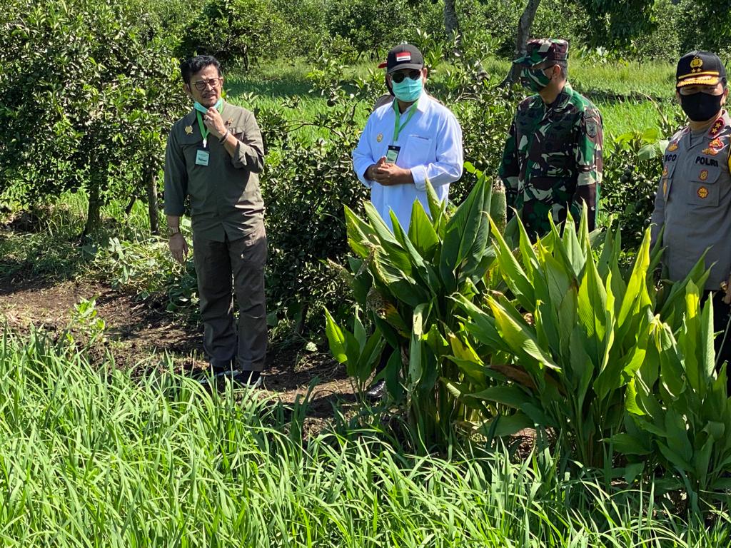 Mentan Syahrul Yasin Limpo (kiri) meninjau lahan rawa.