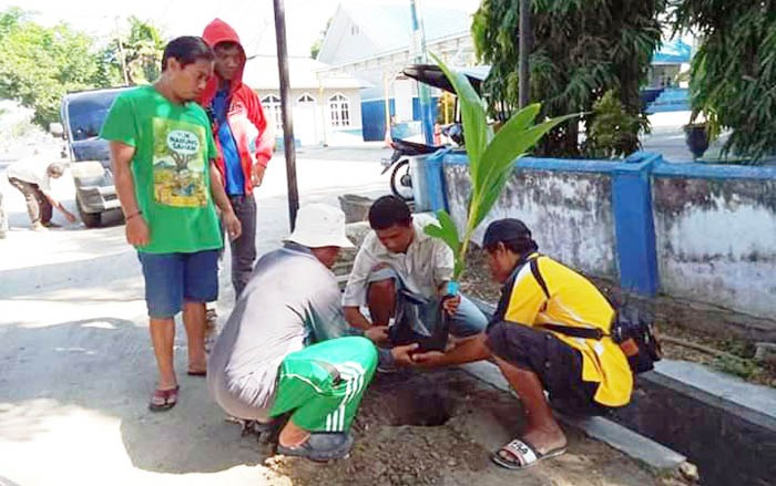 Penyuluh pertanian Gorontalo mengawal petani budidaya kelapa genjah.