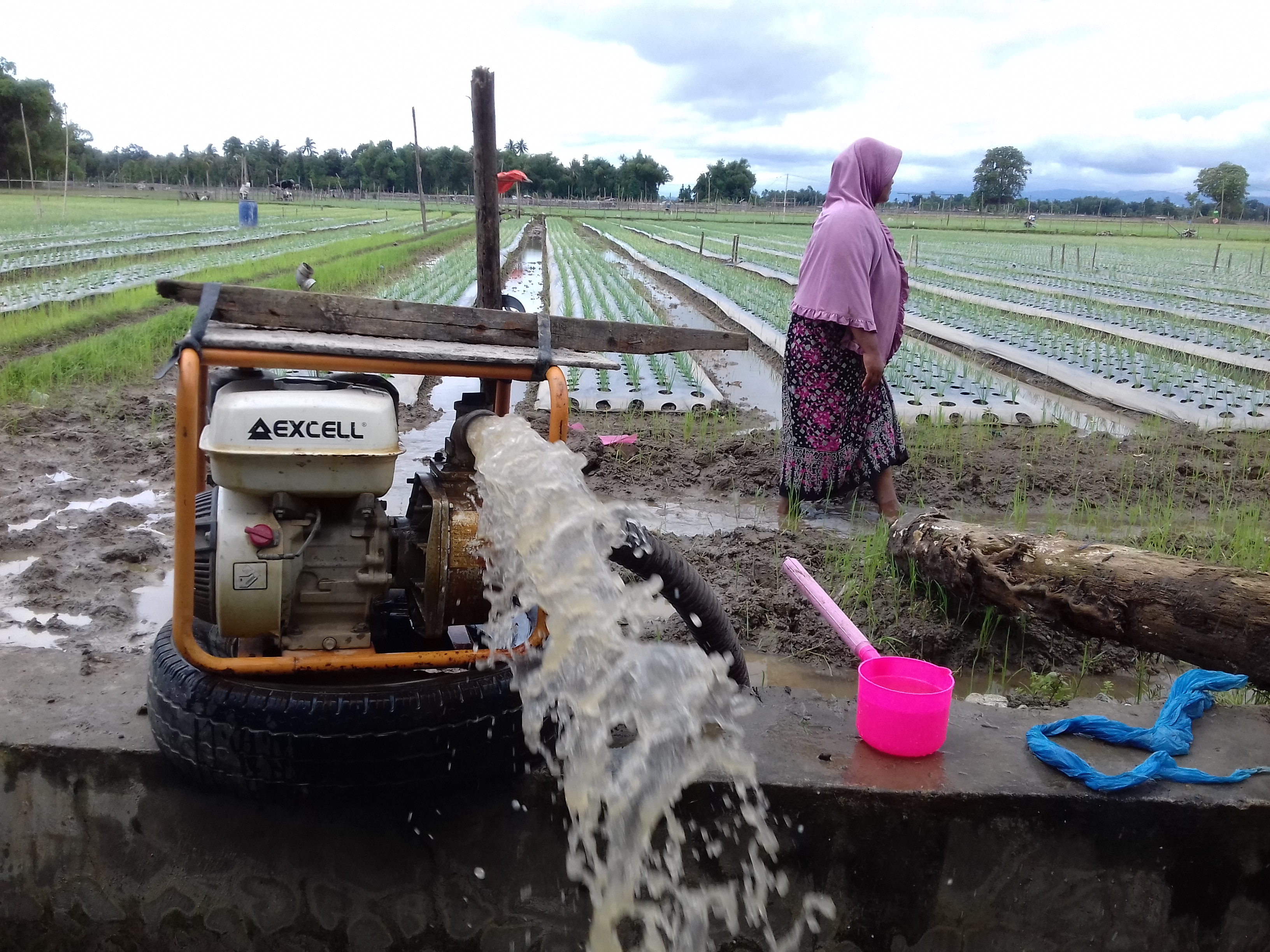 Petani bawang merah di Desa Pulo Blang, Kecamatan Simpang Tiga, Kabupaten Pidie, Provinsi Aceh, membuang air banjir dengan pompa air.