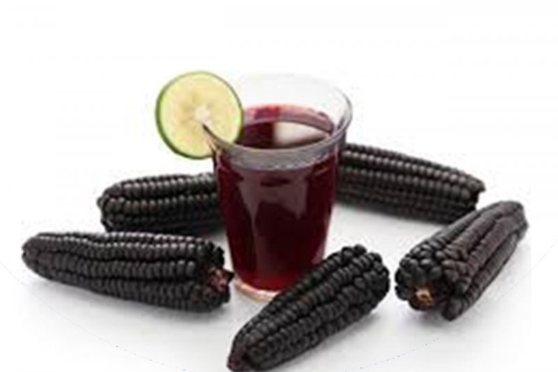 Srikandi Ungu hasil inovasi Balai Penelitian Tanaman Serealia Badan Penelitian dan Pengembangan Pertanian Kementerian Pertanian.