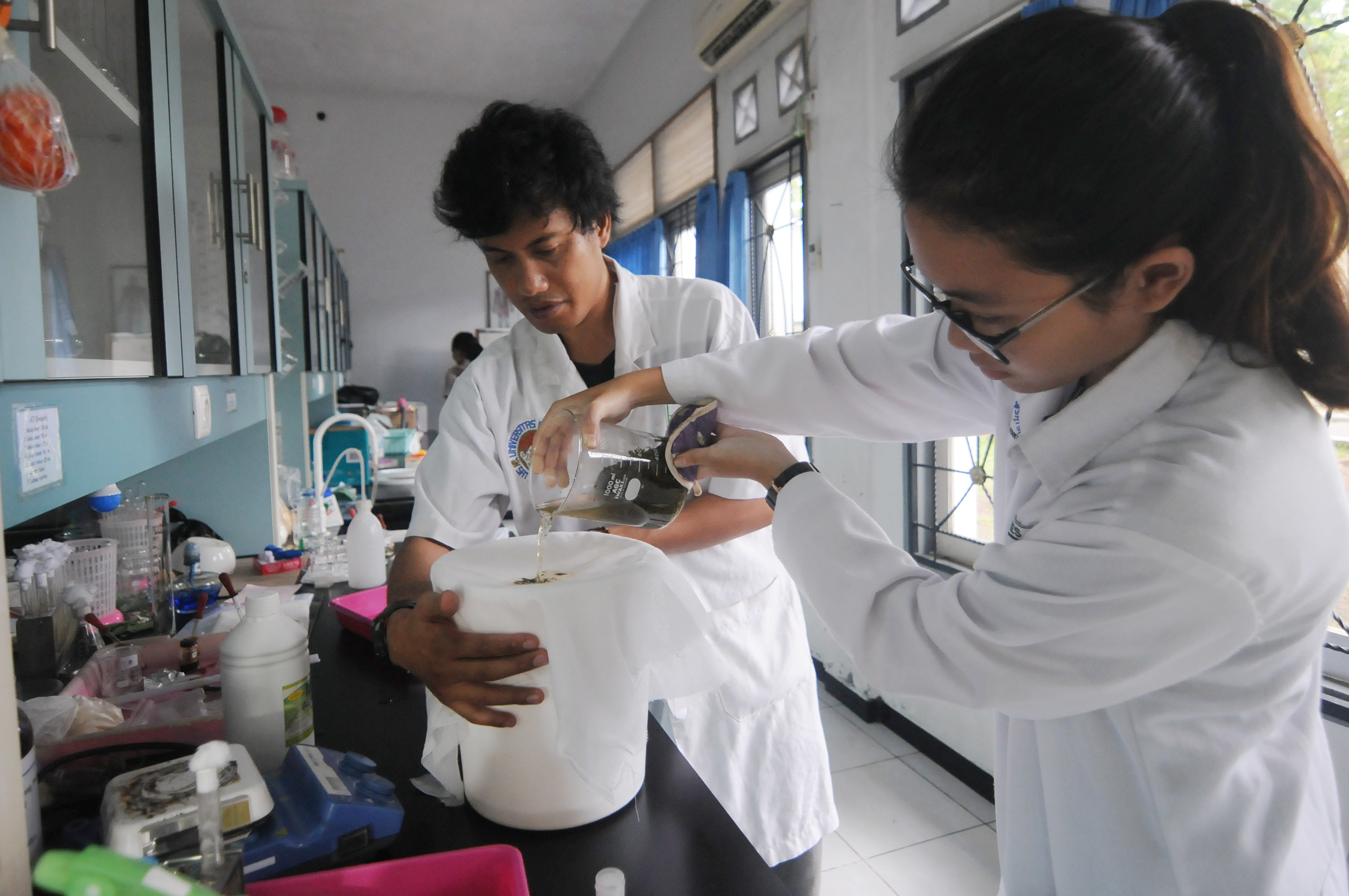  Dosen dan mahasiswa mengolah bahan alami daun sirih saat membuat cairan antiseptik di Universitas Kristen Satya Wacana, Salatiga