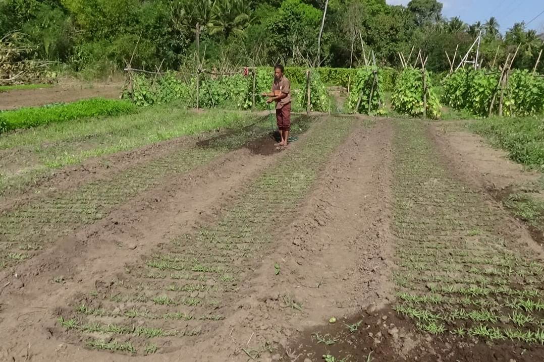 Pemkab Flotim Fokus Program Padat Karya untuk Tingkatkan Hasil Pangan