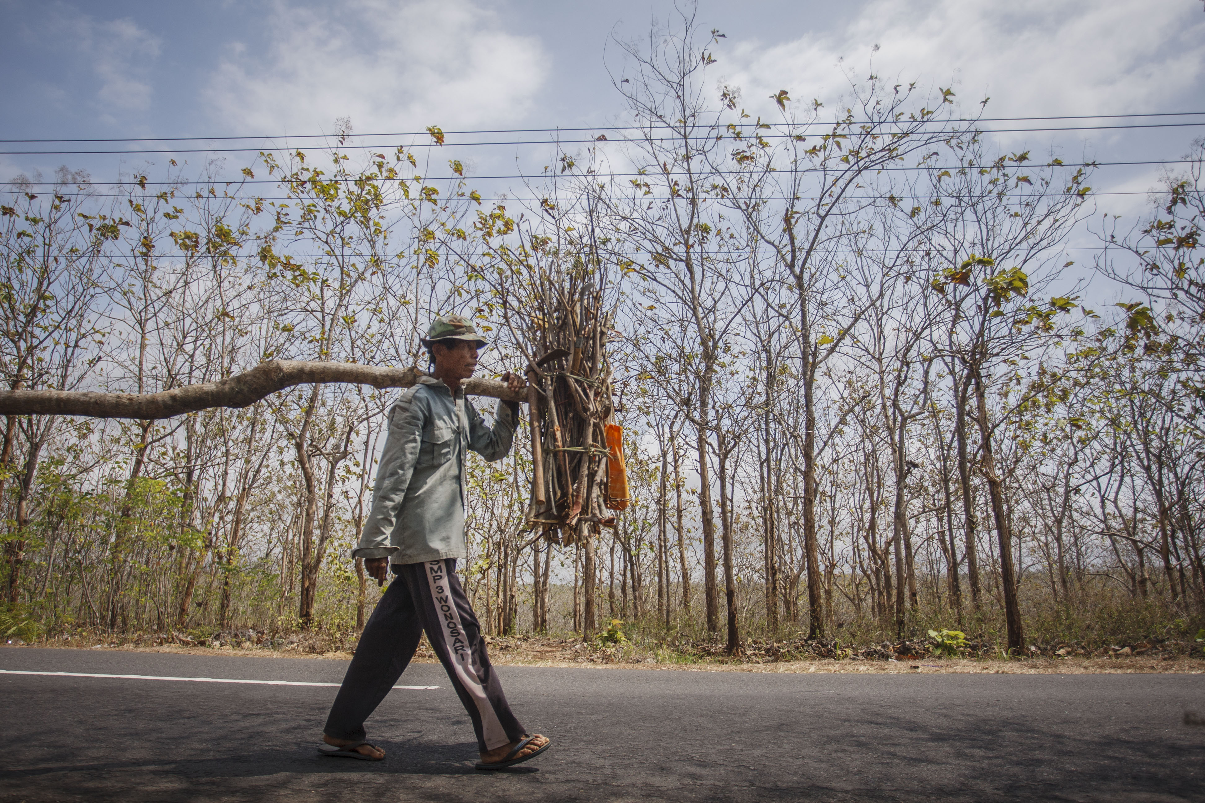 Warga berjalan di sekitar pohon jati yang mulai meranggas di Mulo, Wonosari, Gunungkidul, DI Yogyakarta,.