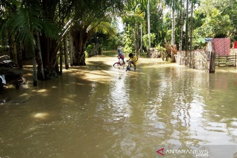 Banjir di Aceh Barat