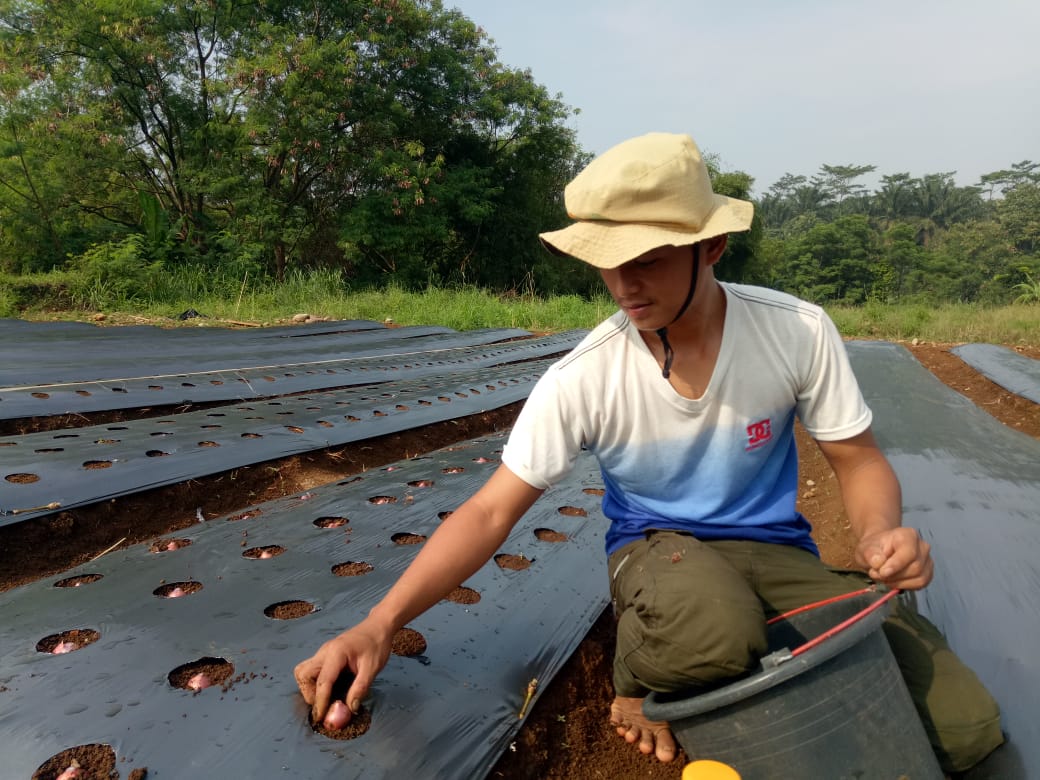 Kementan terus mendorong para petani milenial dan menumbuhkan wirausaha tani muda.