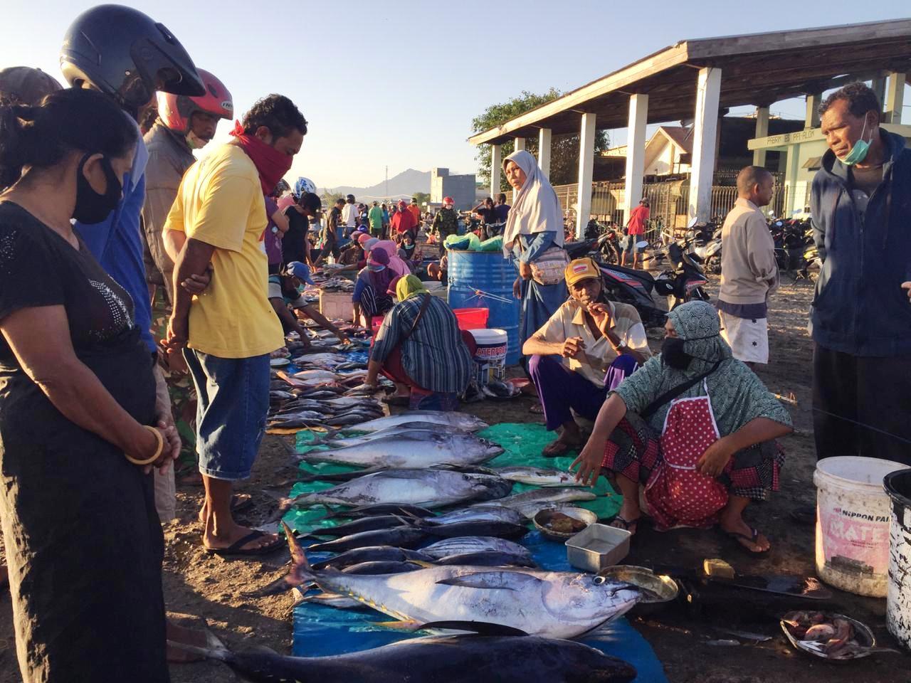 Aktivitas nelayan di Tempat Pendaratan Ikan Kabupaten Sikka, NTT, Selasa (12/5/2020). Saat ini harga ikan anjlok selama pandemi covid-19.