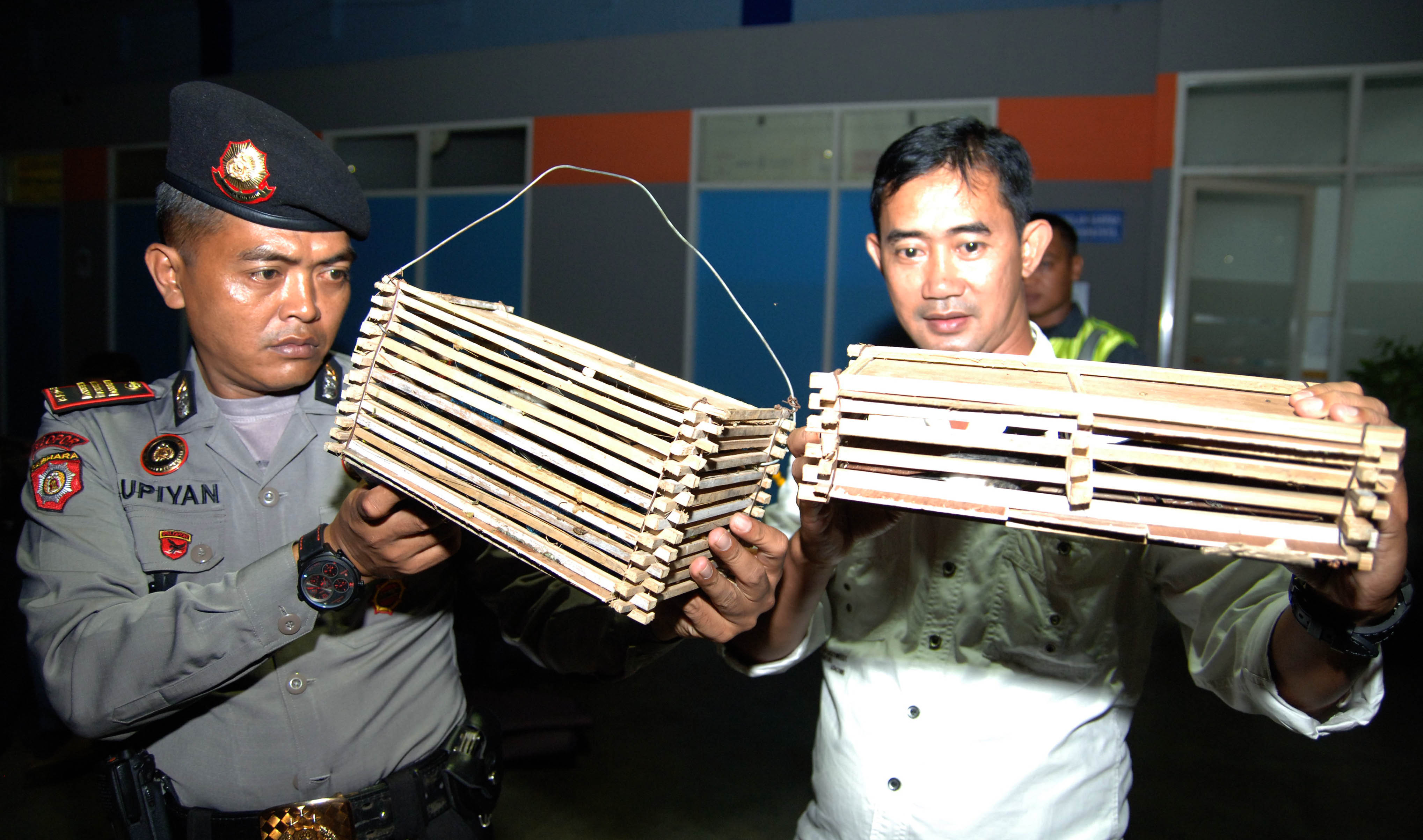 Ilustrasi--penyitaan burung oleh petugas.