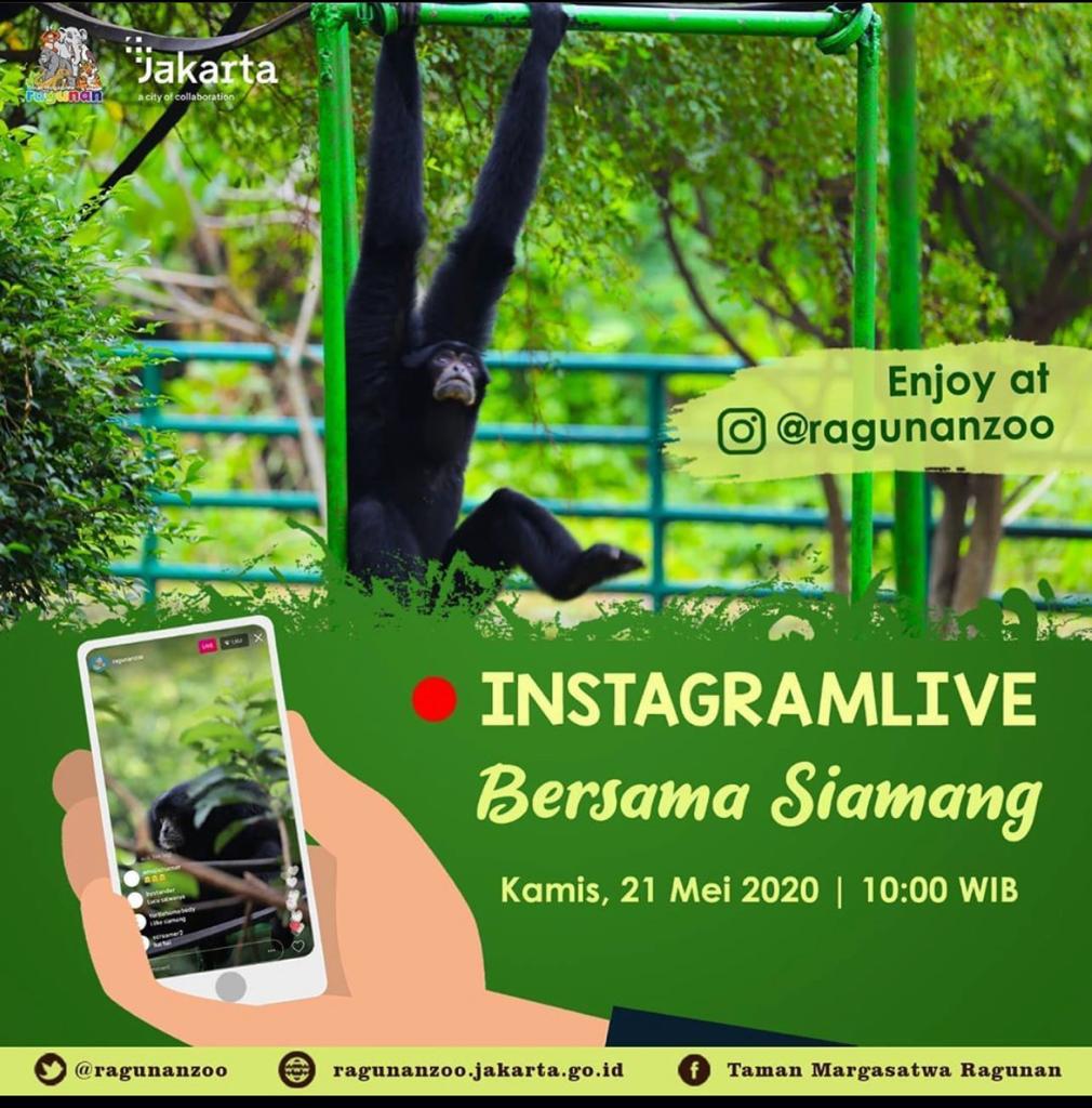 Wisata virtual melalui media instagram