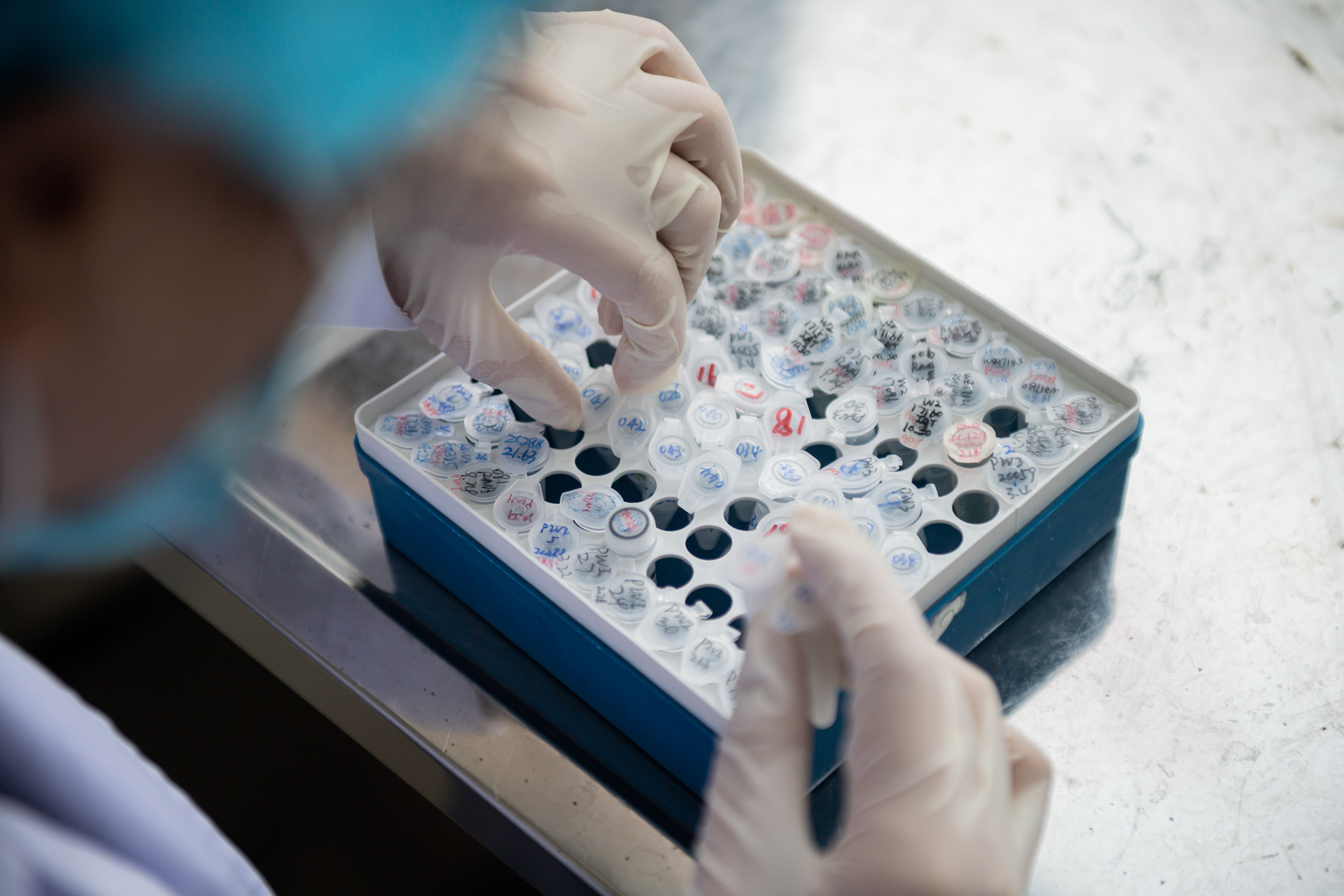 Ilustrasi peneliti yang sedang melakukan pengembangan vaksin covid-19.