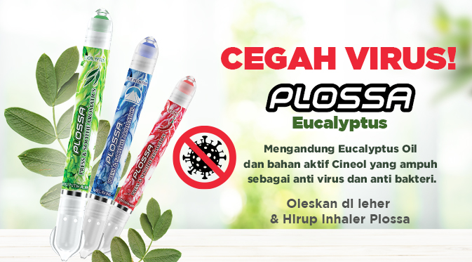 Setidaknya, saat ini terdapat 700 jenis eucalyptus di dunia dengan kandungan bahan aktif yang beragam. 