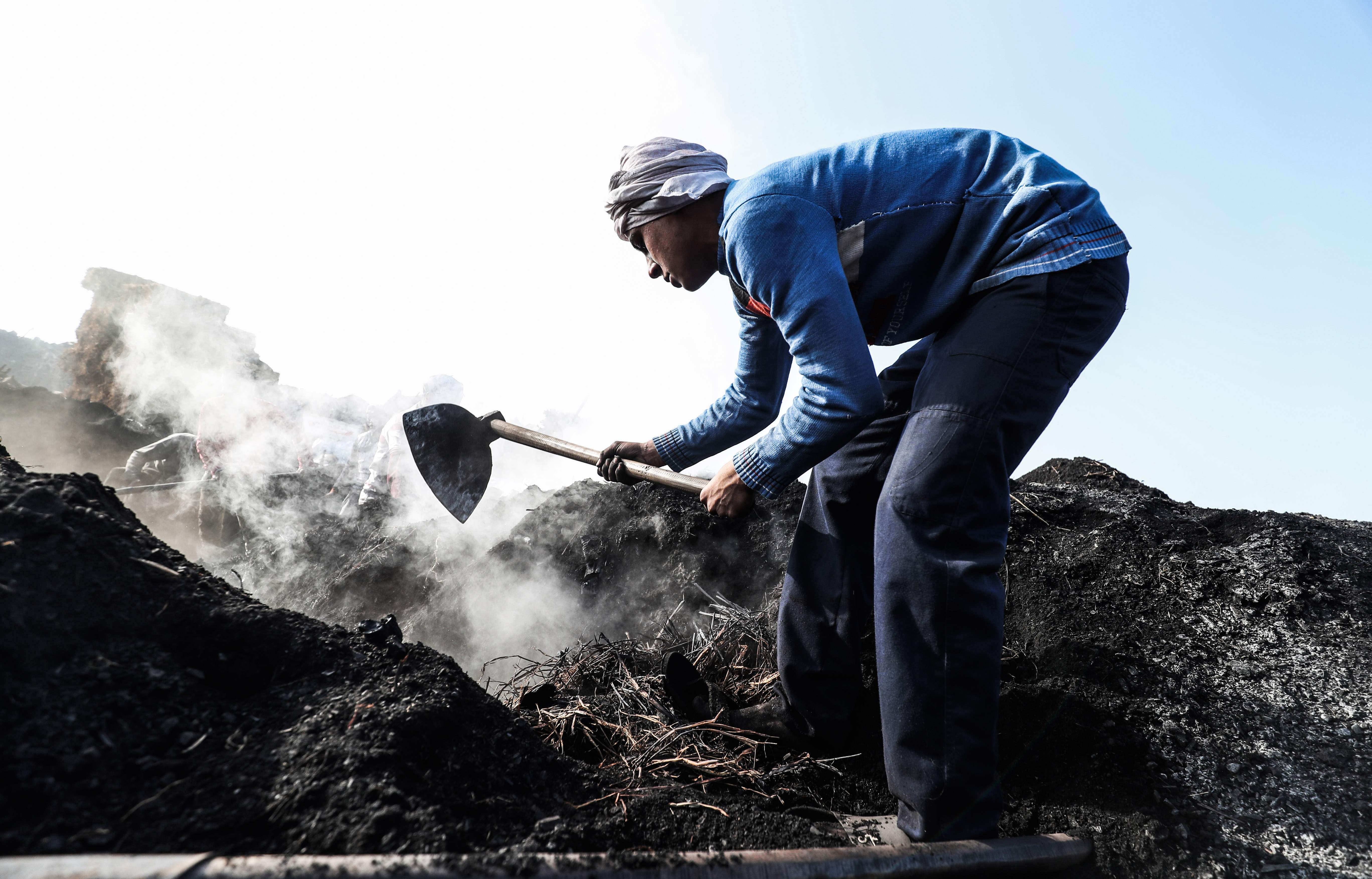 Pekerja di penambangan batu bara di Mesir
