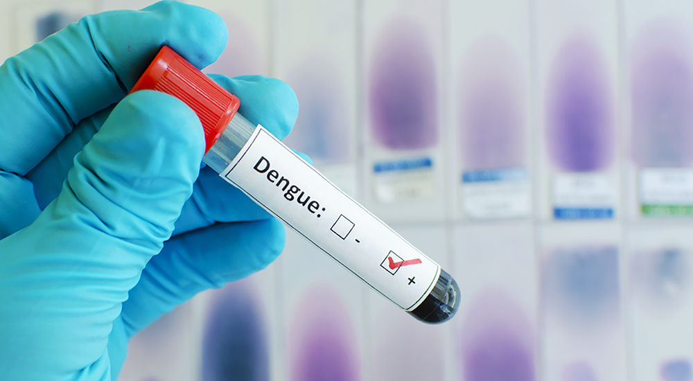 Ilustrasi demam berdarah dengue