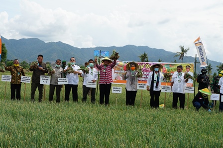 Mentan Syahrul (ketiga dari kanan) saat panen bawang merah di NTB.