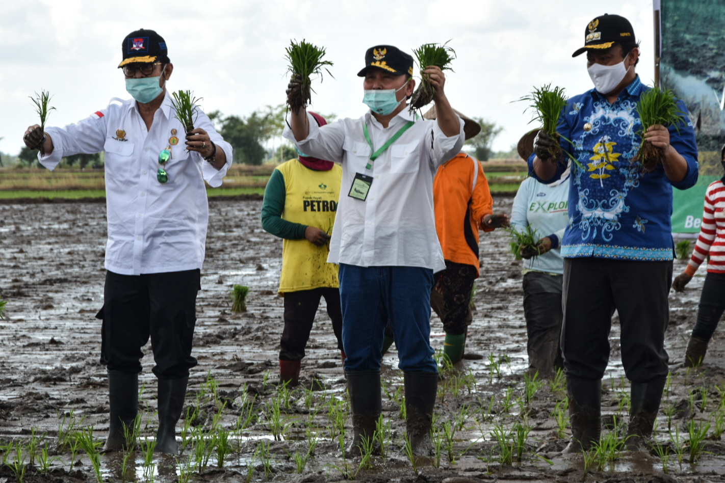 MENTERI PERTANIAN IKUTI GERAKAN TANAM PADI SERENTAK DI KALTENG