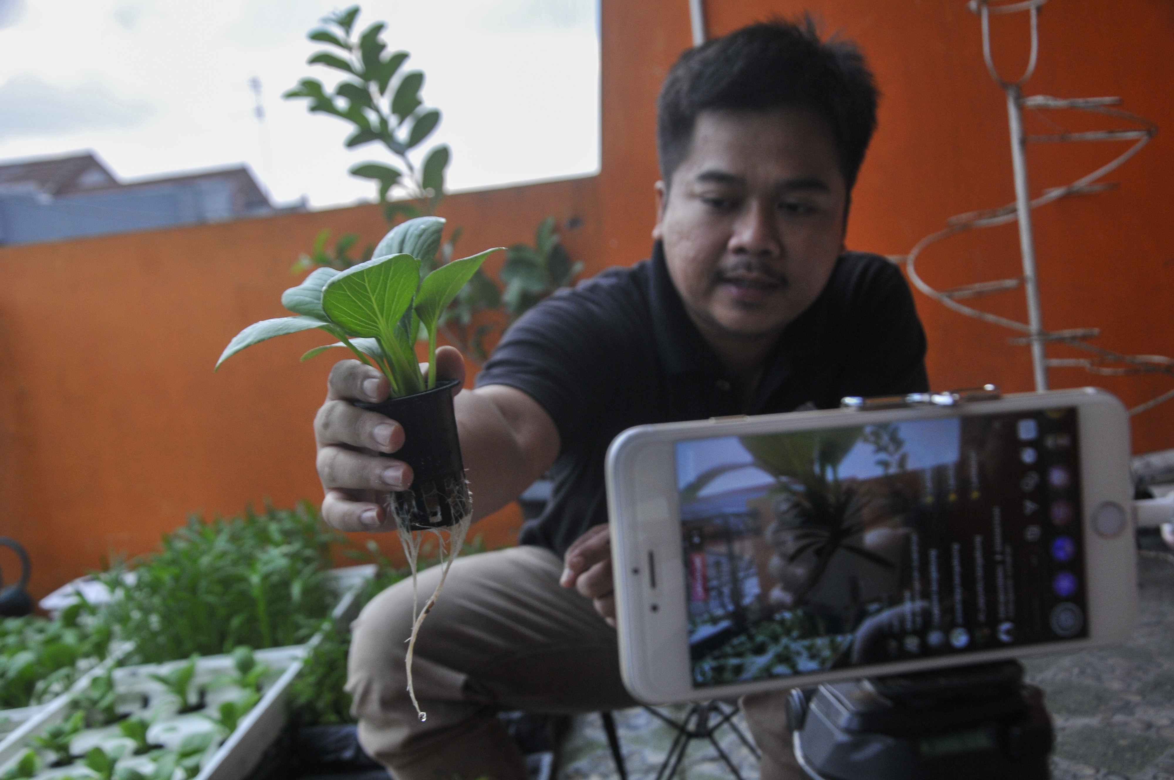  Warga memberikan pelatihan budidaya sayuran pakcoy hidiroponik secara dalam jaringan (daring) di Bekasi, Jawa Barat, Rabu (29/4).