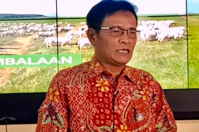 Harga Ayam Rp770 Ribu per Ekor, Dirjen PKH: Tidak Otomatis Dibagi