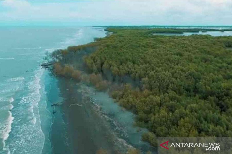 Destinasi wisata Hutan Mangrove Muaragembong terlihat sepi dampak pandemi Covid-19.