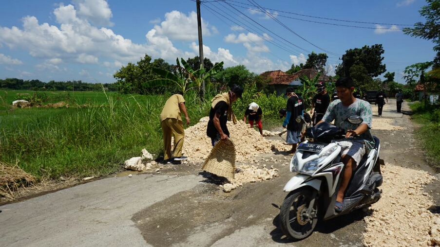 DAU Ditunda, Relawan Tambal Jalan Rusak di Blora
