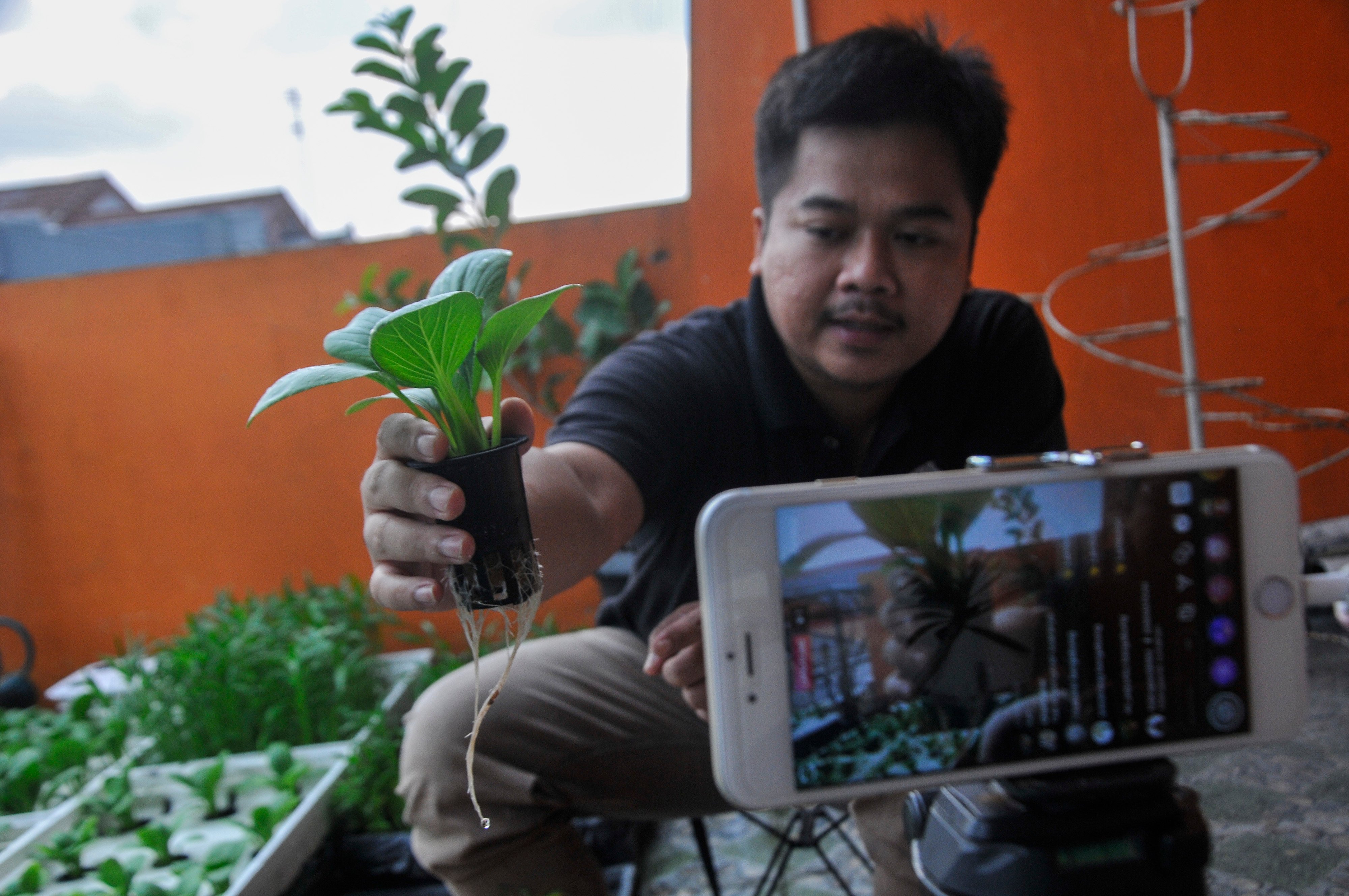 Warga memberikan pelatihan budidaya sayuran pakcoy hidiroponik secara dalam jaringan (daring) di Bekasi