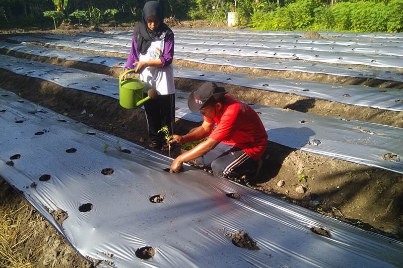 Petani jadi Profesi Baru Pelaku Pariwisata di Aceh