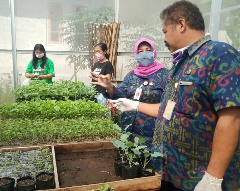 Kegiatan Pekarangan Pangan Lestari (P2L) dapat memenuhi kebutuhan pangan di tingkat rumah tangga.