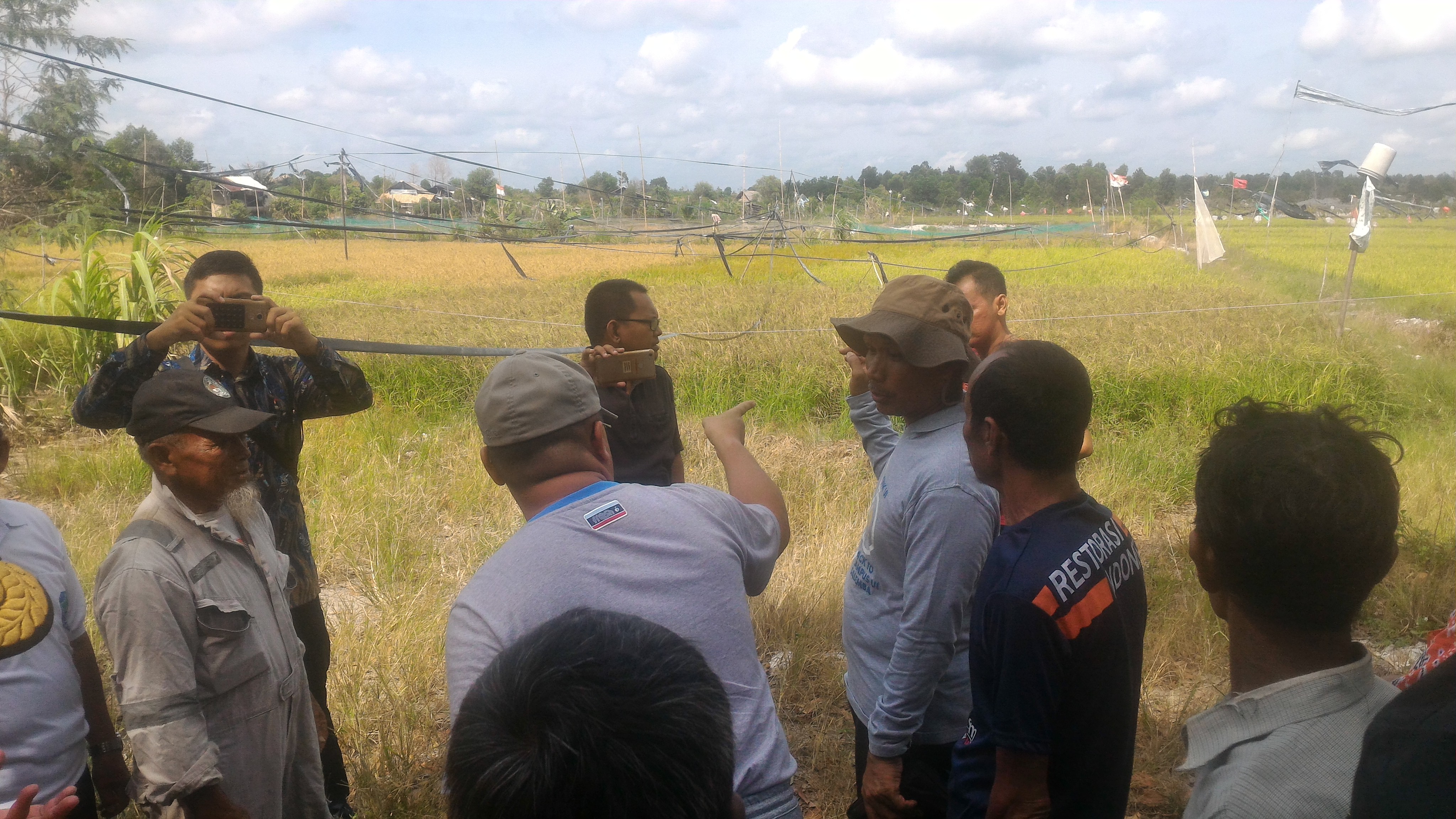 Gubernur Provinsi Bangka Belitung (Babel) Erzaldi Rosman Djohan akan memperluas penanaman padi di lahan eks penambangan pasir timah