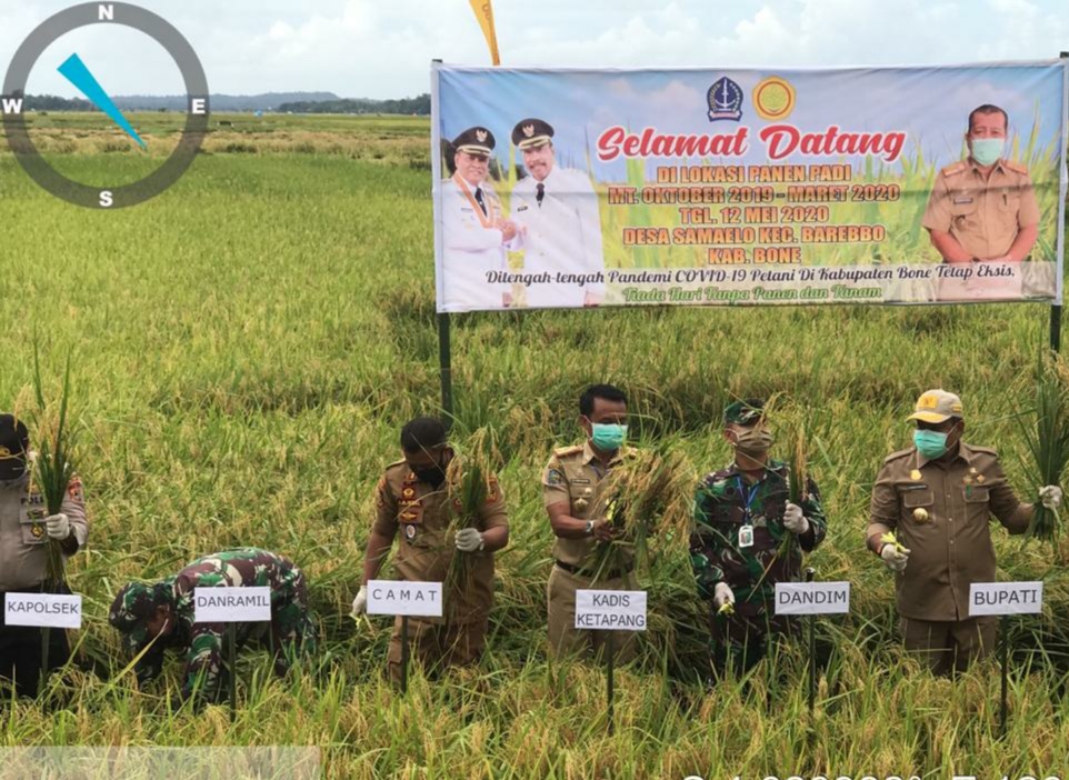 Panen raya padi di Kabupaten Bone, Sulawesi Selatan.