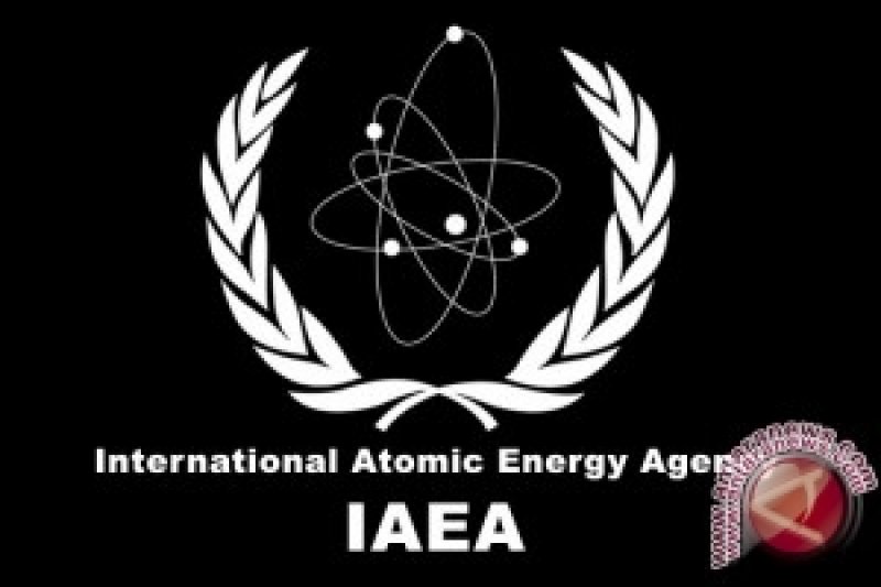 International Atomic Energy Agency (IAEA).
