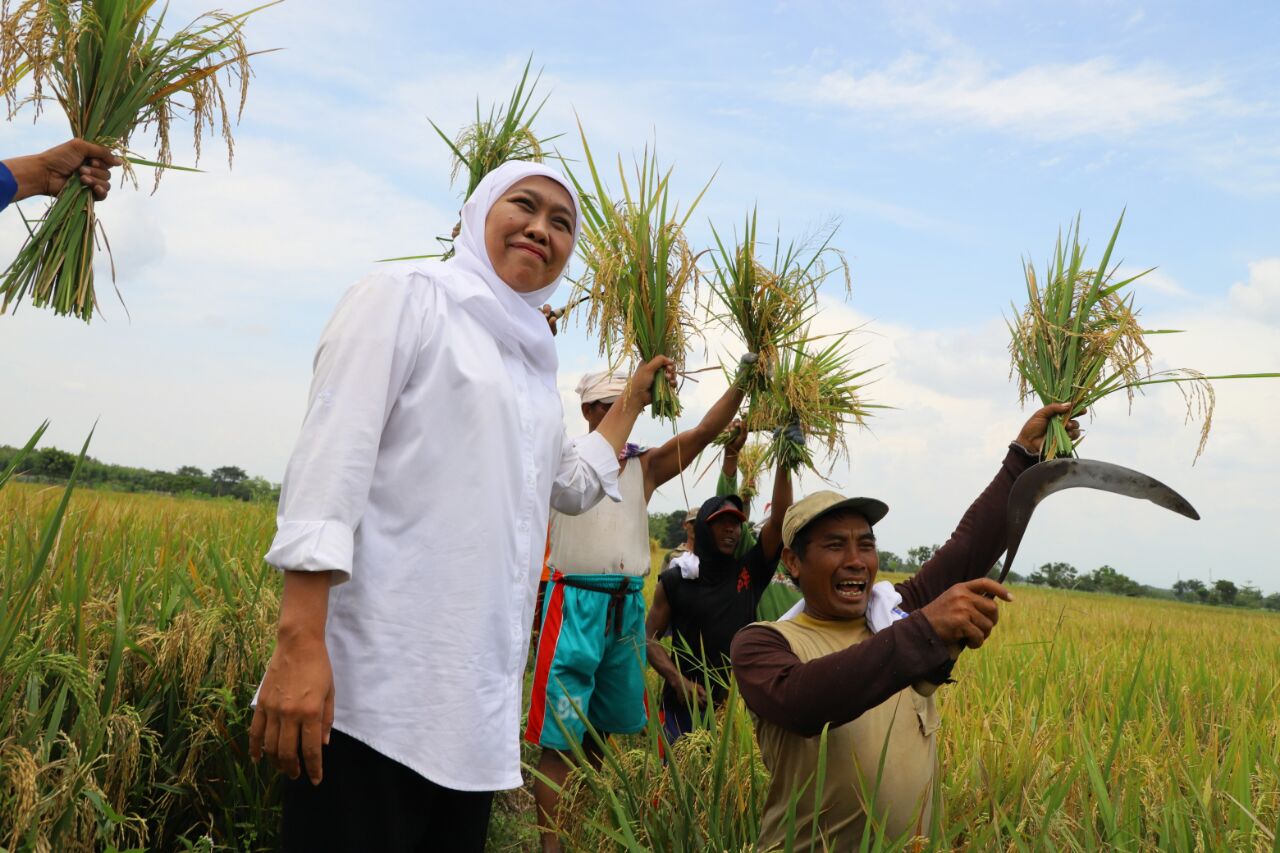 Gubernur Jawa Timur Khofifah Indar Parawansa (kiri).
