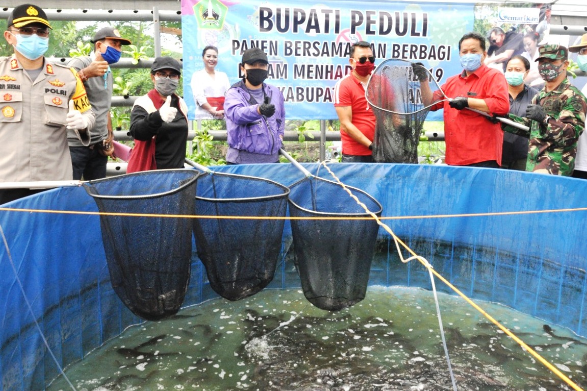 Bupati Tabanan, Ni Putu Eka Wiryastuti dan organisasi perangkat daerah (OPD) memborong hasil panen lele petani di daerah itu, Jumat (8/5).