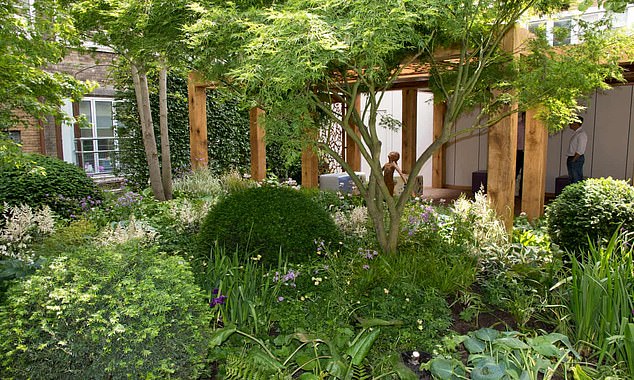 Taman di area ICU sebuah RS di Inggris. 