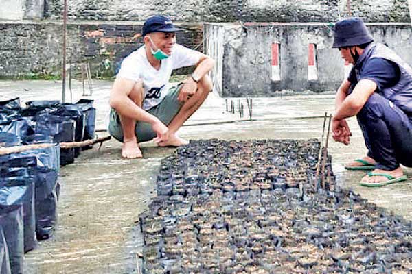 Anggota gerakan Bogor Rise Against Corona (Borac) memberikan pupuk pada polybag yang berisi bibit tanaman di Jalan Sore, Bogor, Sabtu (9/5).