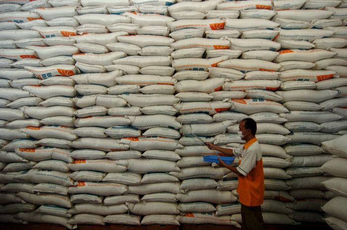 Petugas Bulog sedang mengambil sampel beras.