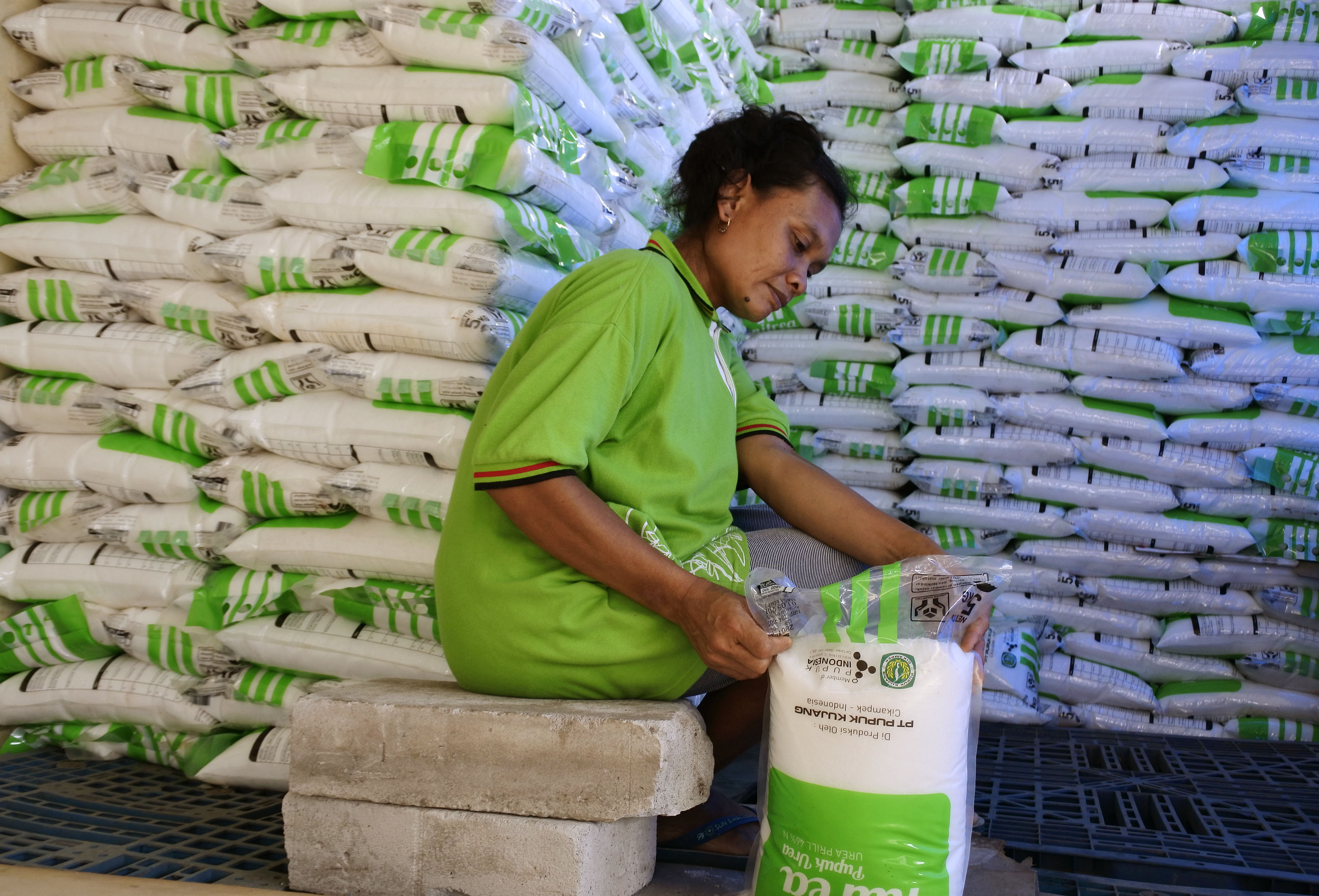 Ilustrasi stok pupuk bersubsidi 