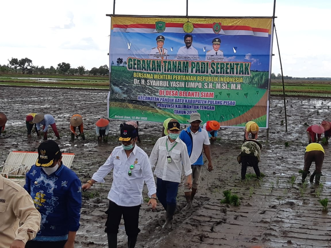 Kalteng Dukung Intensifikasi dan Ekstensifikasi Lahan Rawa 