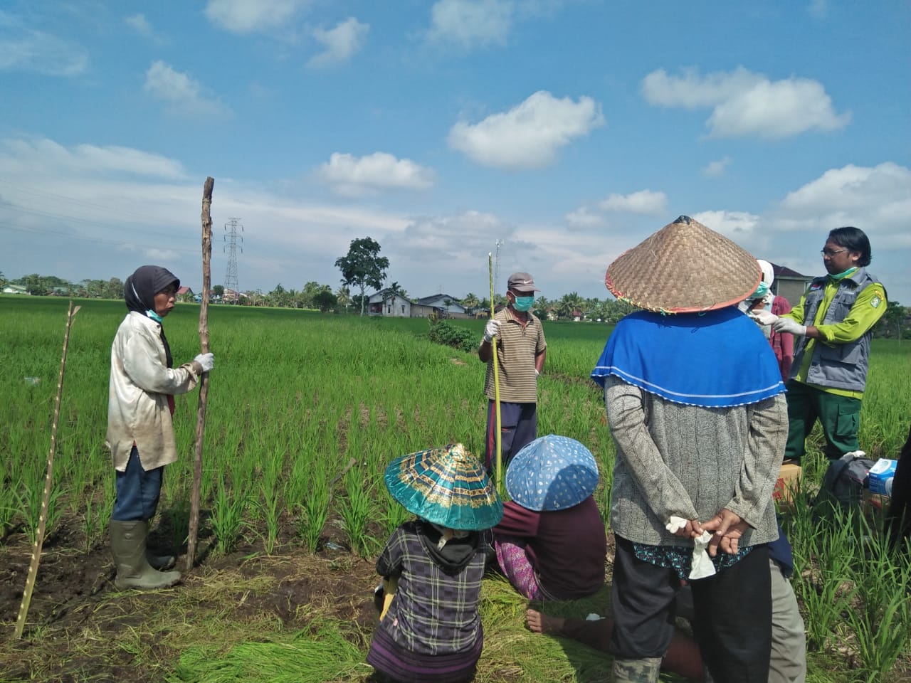 Petani Kalimantan Barat melakukan gerak cepat antisipasi kemarau.