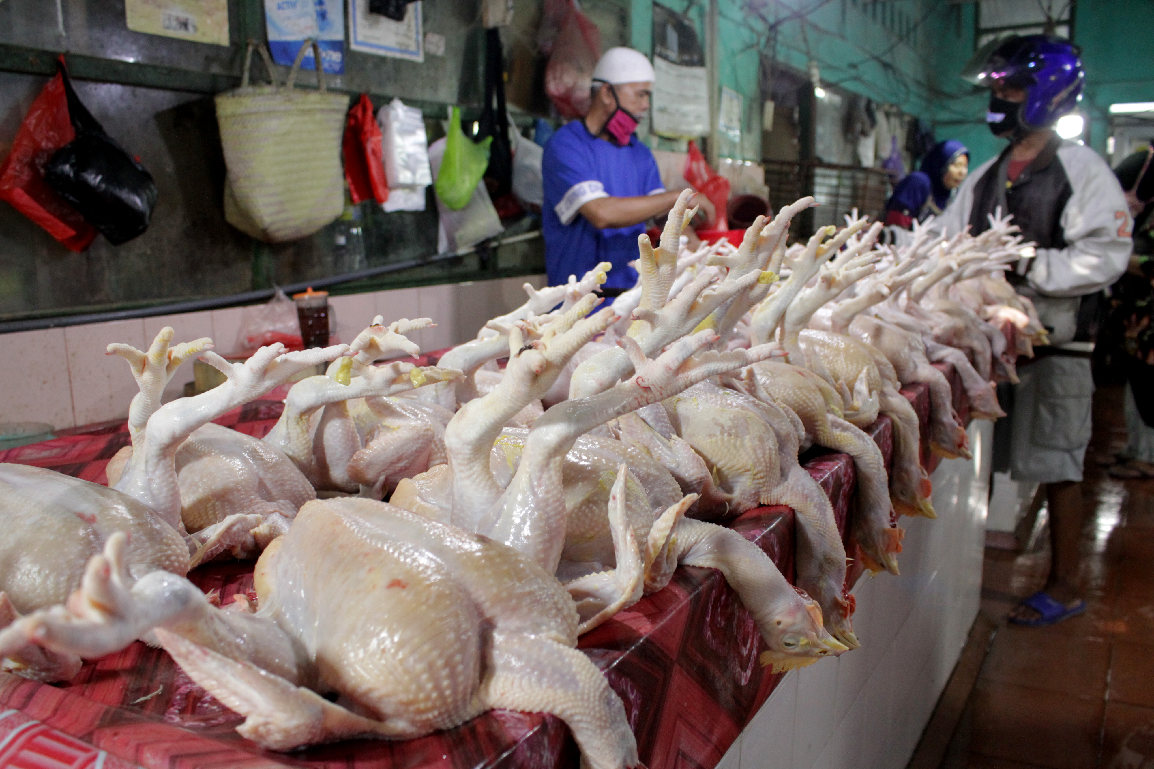 Pedagang ayam potong di  Pasar Toddopuli, Makassar melayani pembeli 