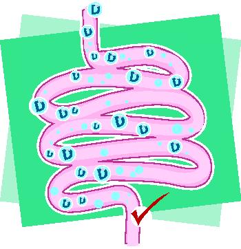 Lawan Covid-19 dengan Membangun Sistem Imun Tubuh