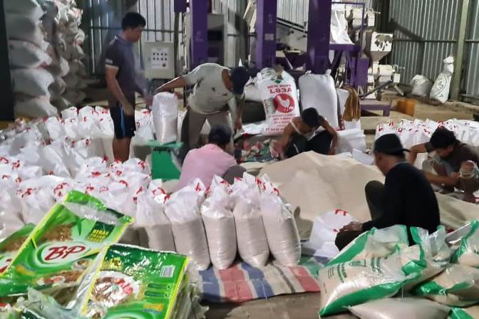 Beras hasil panen gapoktan sedang di-packing untuk disalurkan.