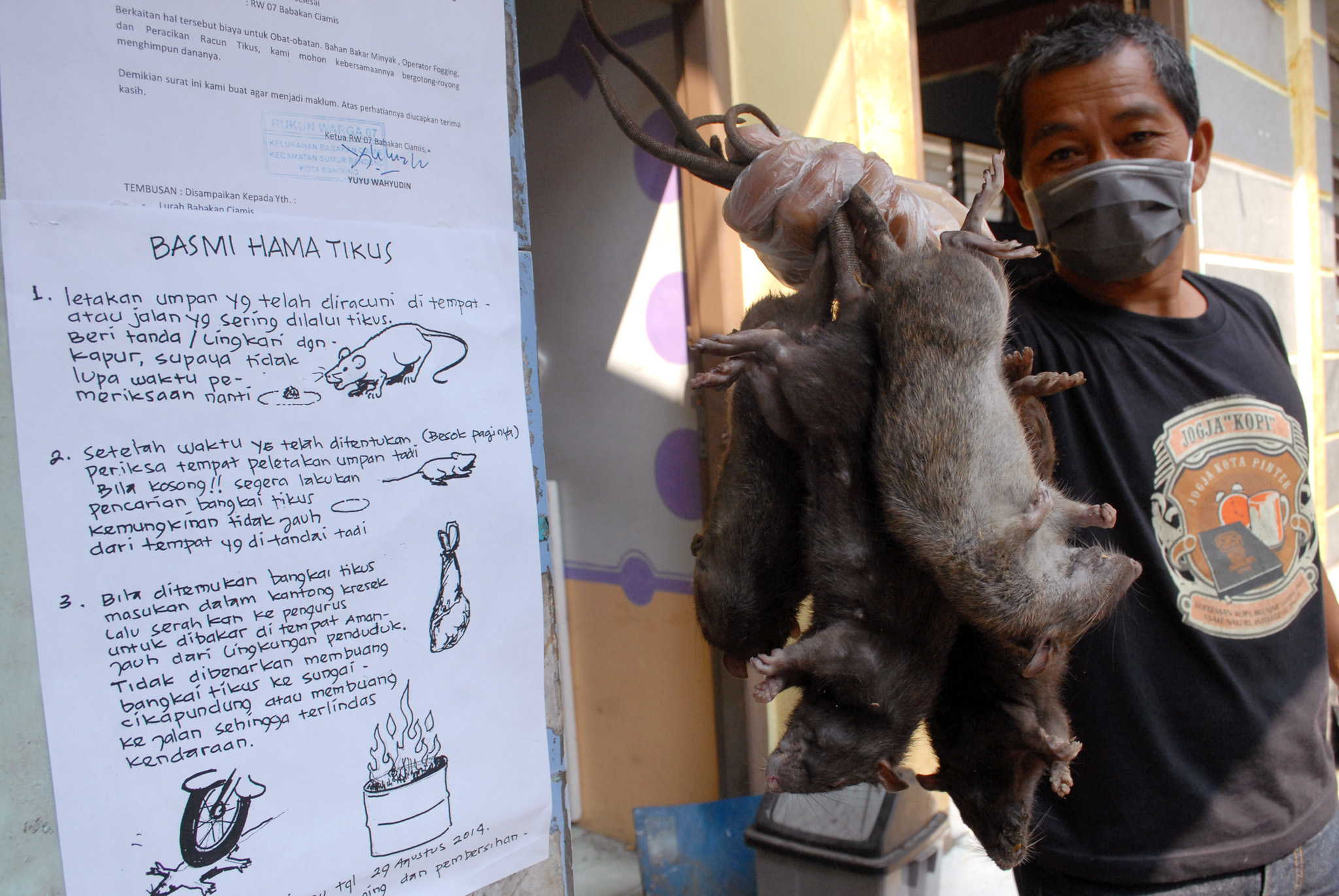 Untuk meningkatkan ketahanan pangan nasional, Pemkab Simalungun menggencarkan perburuan hama tikus.