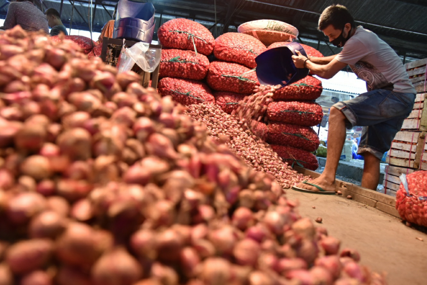 Ilustrasi pedagang pasar yang memilah bawang merah.