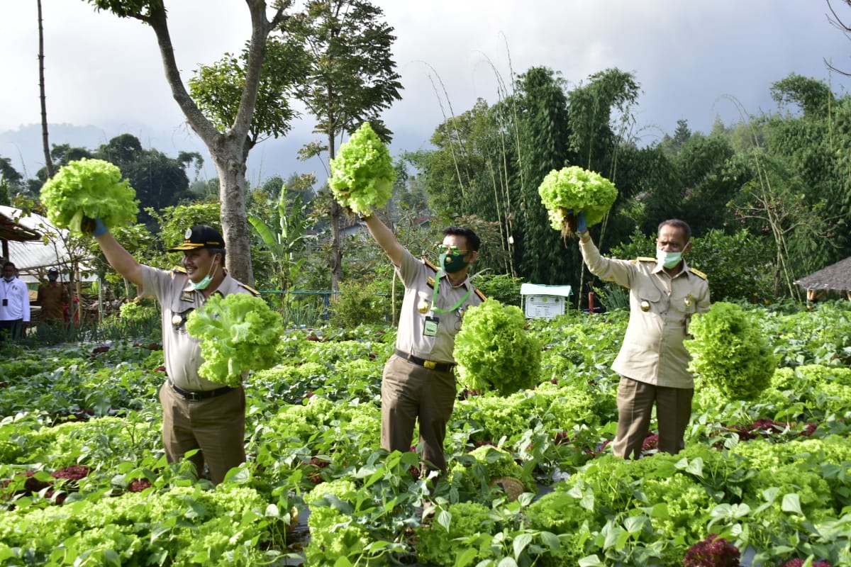 Mentan SYL melakukan kunjungan ke Pekarangan Pangan Lestari (P2L) KWT Binama Desa Cibodas, Lembang, Bandung Barat, Selasa (16/6).