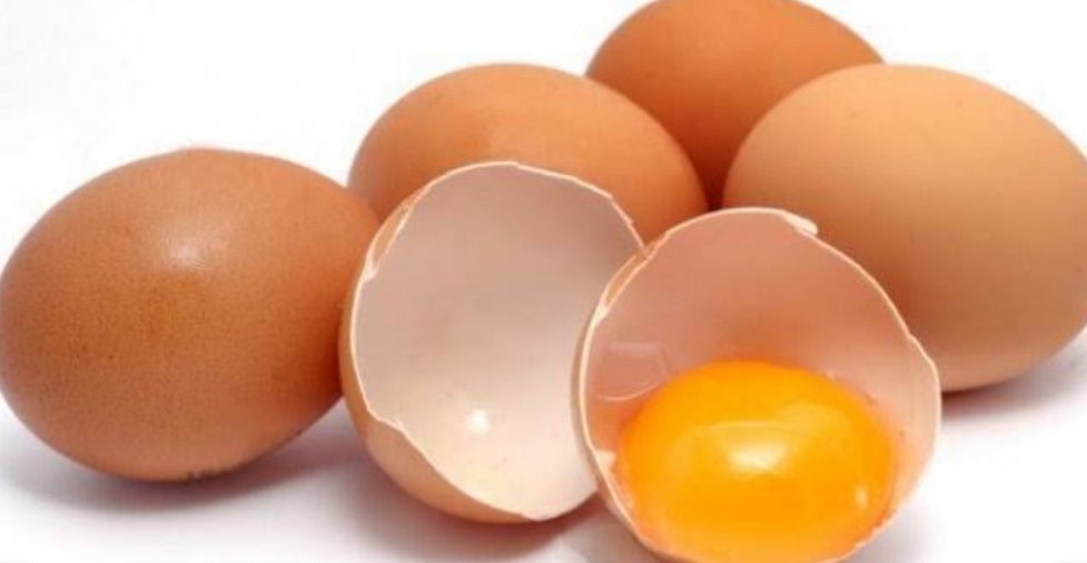 Warna cangkang atau kerabang telur dari semua strain ayam layer yang dibudidayakan di Indonesia umumnya coklat. 