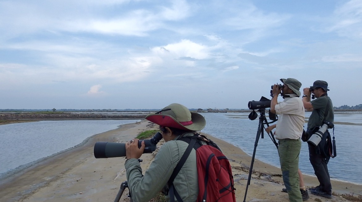 Dokumentet Looking for Haven